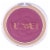 Flower Beauty Flower Pots Powder Blush Wild Rose Perspective: back
