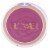Flower Beauty Flower Pots Powder Blush Wild Rose Perspective: back