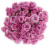 Big Bunch Spray Rose Perspective: back