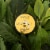 Bundle: Nipple Nurture Butter 2 oz and Tummy Honey Butter 4 oz Perspective: back