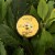 Bundle: Nipple Nurture Butter 2 oz and Tummy Honey Butter 4 oz Perspective: back