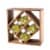Acacia Wood Lattice Wine Rack by Twine® Perspective: back