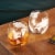 Viski Globe Whiskey Tumblers Perspective: back