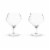Viski Angled Crystal Gin & Tonic Glasses Perspective: back
