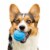 Fetch N' Fun TPR Ball with Squeaky Ball Dog Toy (3-Pack) - Galactic Pack Perspective: back