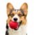 Fetch N' Fun TPR Ball with Squeaky Ball Dog Toy (3-Pack) - Play Pack Perspective: back
