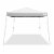 Caravan Canopy V Series 2 10'x10' Entry Level Angled Leg Instant Canopy (2 Pack) Perspective: back