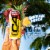 C4 Performance Hawaiian Punch Energy Drink Can Perspective: back