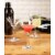 Martini Glasses - 6-Set Clear Classic 5-Ounce Cocktail Glasses, Inverted Cone Perspective: back