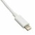 Apple Lightning Authorized White IPhone, IPad, IPod USB Charge and Sync Cable, 6 foot Perspective: back