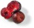 Fresh Plums in 3 lb Clamshell Perspective: back