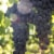 Browne Family Vineyards Heritage Cabernet Sauvignon Washington Red Wine Perspective: back