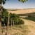 Browne Family Vineyards Heritage Chardonnay Washington White Wine Perspective: back