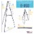 66  Showroom Black Aluminum Display Easel and Presentation Stand - Large Adjustable Height Perspective: back