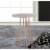 Zingz & Thingz Nikki Chu Base Circle Wooden Accent Side Table in Rose Gold Perspective: back