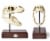 Jurassic World 9x8 Inch Tyrannosaurus Rex Skull Resin Replica Perspective: back
