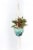 Primitive Planters Cotton Plain Cord Plant Hanger Perspective: back
