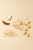Miyoko’s Creamery® Classic Plant Milk Mozzarella Cheese Perspective: back