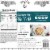 Tattooed Chef Cauliflower Crust Plant-Based Frozen Veggie Pizza Perspective: back