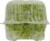 Kalera Living Hydroponic Frisee Lettuce Perspective: back