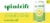 Spindrift® Lemon Limeade Flavored Sparkling Water Cans Perspective: back