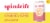 Spindrift® Pink Lemonade Flavored Sparkling Water Cans Perspective: back