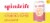 Spindrift® Pink Lemonade Flavored Sparkling Water Cans Perspective: back