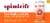 Spindrift® Blood Orange Tangerine Flavored Sparkling Water Cans Perspective: back