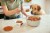 PetPlate Human-Grade Beef Entrée Fresh Dog Food For All Life Stages Perspective: back