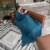 Muslin Blanket for Adults, Extra Large Twin 90” x 66” (Neptune) Perspective: back