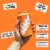 Slice Orange Healthy Soda Perspective: back