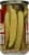 YeeHaw Pickle Co. Hot Damn Dills Spicy Dill Pickle Spears Perspective: back