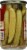 YeeHaw Pickle Co. Hot Damn Dills Spicy Dill Pickle Spears Perspective: back
