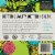 Pitaya Foods® Organic Clarity Smoothie Bowl - Coconut Perspective: back