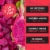 Pitaya Foods® Organic Dragon Fruit Bite-Sized Pieces Perspective: back