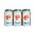 Four Corners Brewing Co. Chingo Haze Chingo-Haze Hazy IPA Craft Beer Perspective: back