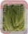Vertical Roots Large Leaf Crisp Romaine Perspective: back