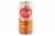 Portland Cider Seasonal Pumpkin Spice Cider Single Can Perspective: back