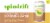 Spindrift® Half Tea Half Lemon Flavored Sparkling Water Cans Perspective: back