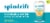Spindrift® Pineapple Sparkling Water Perspective: back