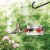 Nature's Way® Mason Jar Hummingbird Feeder Perspective: back