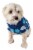 Pet Life Argyle Style Ribbed Fashion Pet Sweater Perspective: back