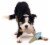 Pet Life Ice Cream Cone Cooling Water Fillable And Freezable Dog Chew And Teether Toy Perspective: back