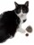 Pet Life Pompom Kitty Mouse Plush Catnip Cat Toy Perspective: back