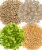 Palouse Brand Soft White Wheat Berries, 4 LBS Re-Sealable Bag Perspective: back
