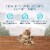 Blue Buffalo Wilderness Grain Free Soft-Moist Chicken & Salmon Cat Treats Perspective: back