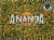 Wiseacre Brewing Co. Ananda India Pale Ale - IPA Perspective: back
