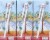 Giving Organic Tropical Fruit Juice Perspective: back