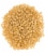 Palouse Brand Hard White Wheat Berries, 25 LB Bucket for Long Term Food Storage Perspective: back