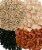 Clear Creek 100 LB Lentil Bundle: Beluga, Gold, Green, Red Lentils each in 25 LB Buckets Perspective: back